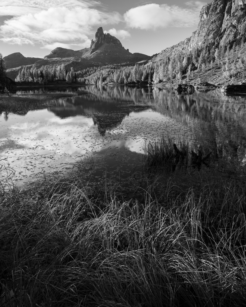 View Untitled 1 by Jule Oellrich