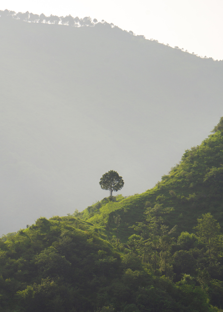 View Untitled 7 by Timme Miedema