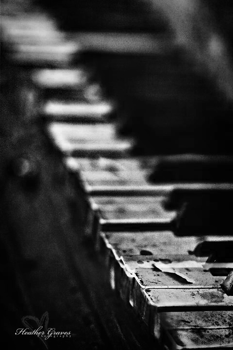 View Untitled 5 by Heather Graves