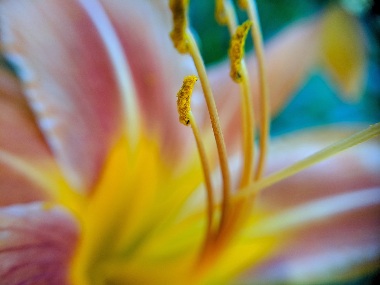 View Untitled 5 by Colin Gauthier