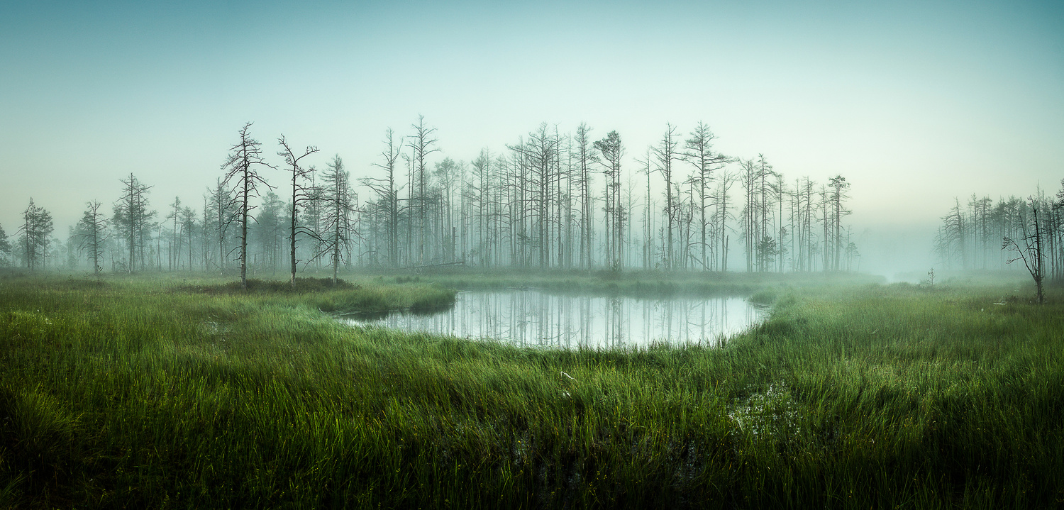 View Untitled 3 by Kristaps Dišlers