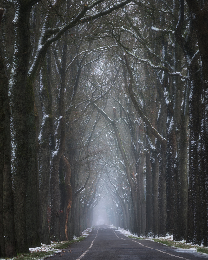 View Untitled 4 by Jeroen Schouten