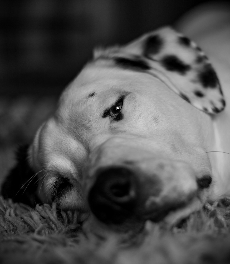 View Falling asleep by Nathan Ruane