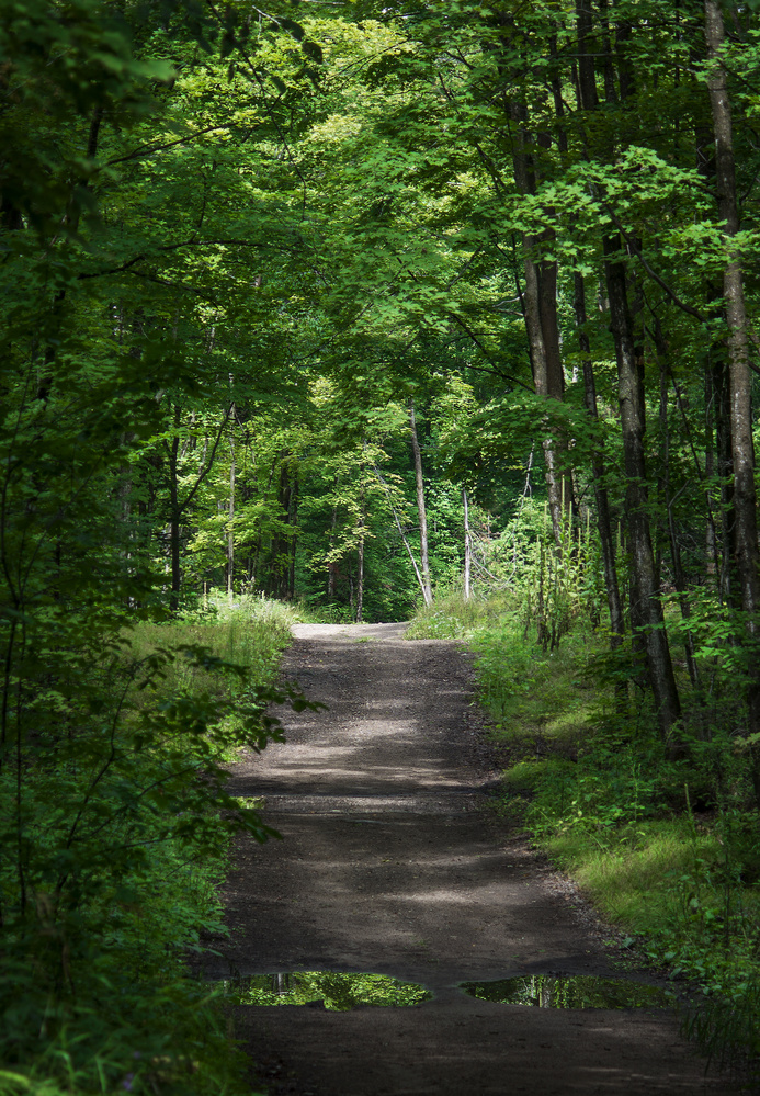 View Cottage lane by Nathan Ruane