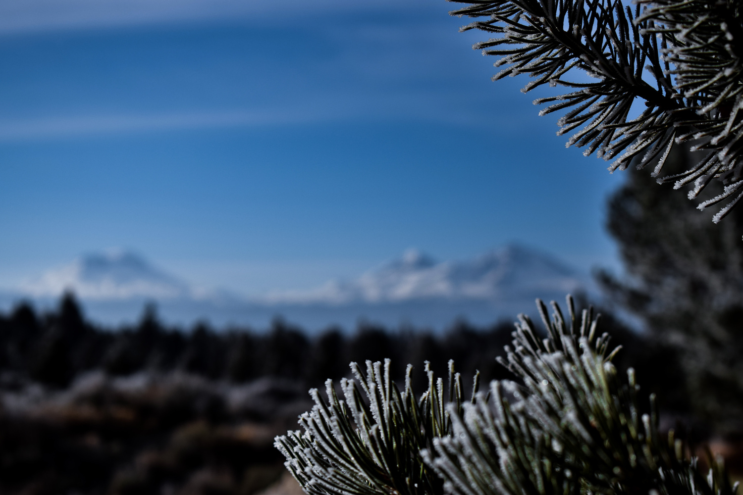 View Untitled 8 by Mitchell Griffin