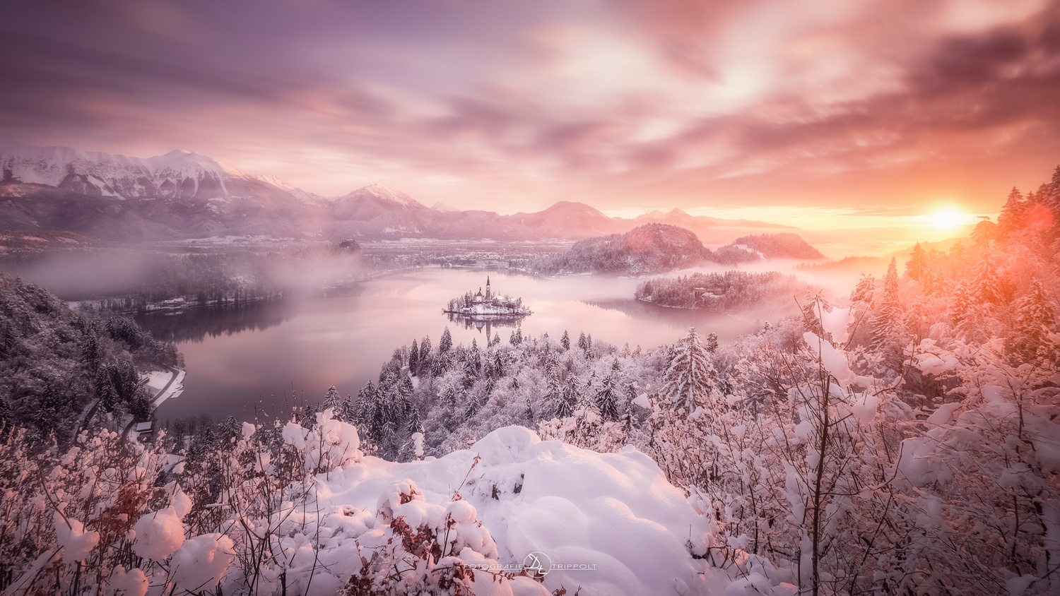 View Untitled 3 by Daniel Trippolt