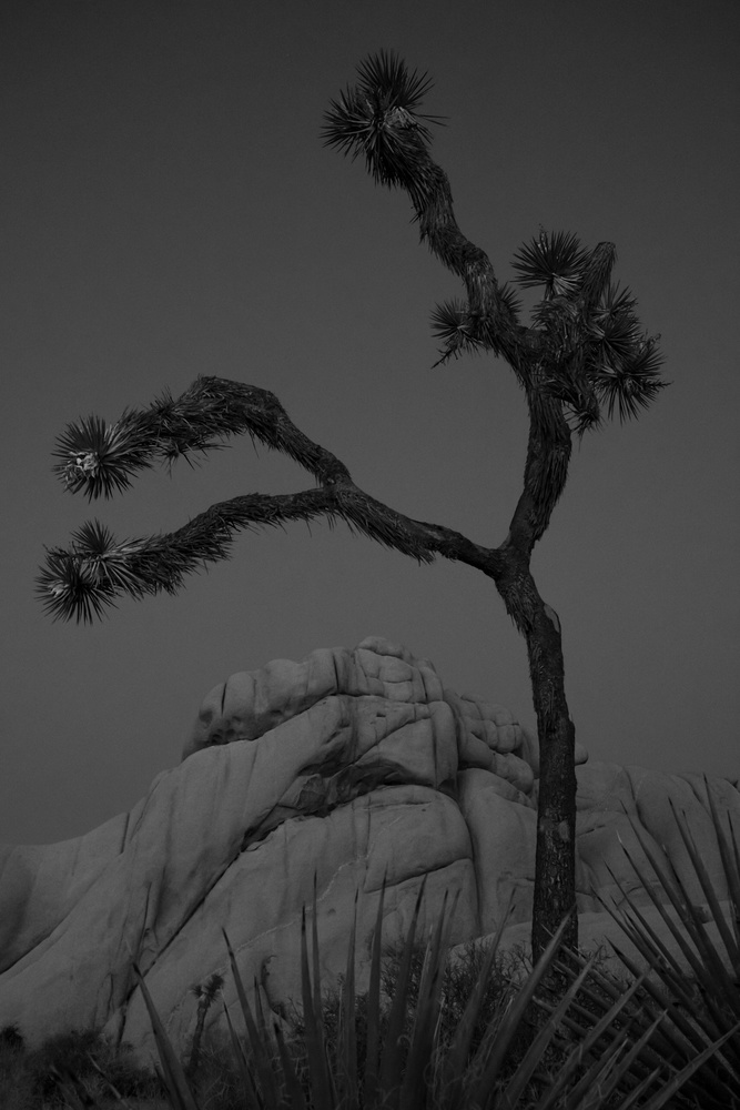 View Untitled 3 by Fran V