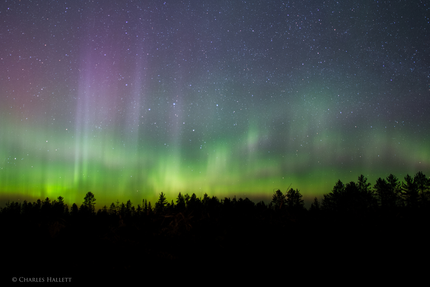 View Seney Lights by Charles Hallett