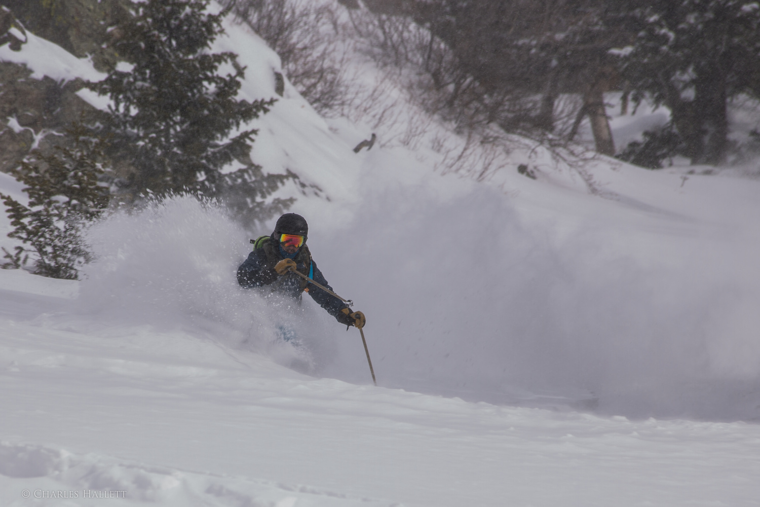 View Chris getting pitted by Charles Hallett