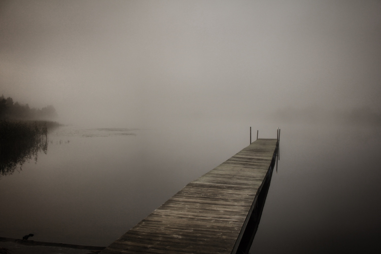 View Foggy out there by Thomas Glaas