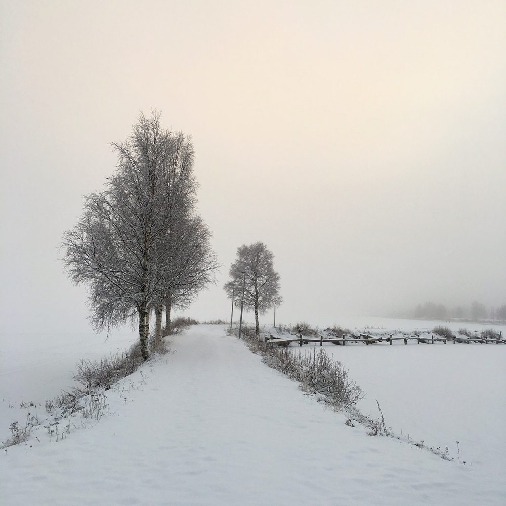 View Way out by Thomas Glaas