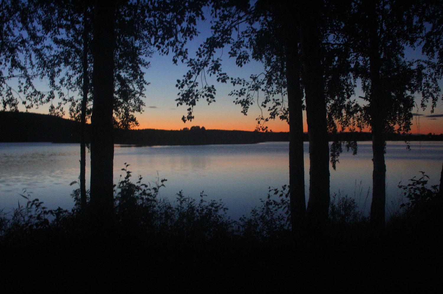 View The lake by Thomas Glaas