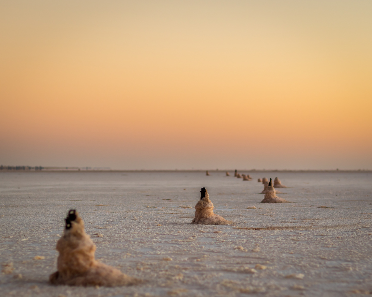 View Untitled 3 by Scotty Carson