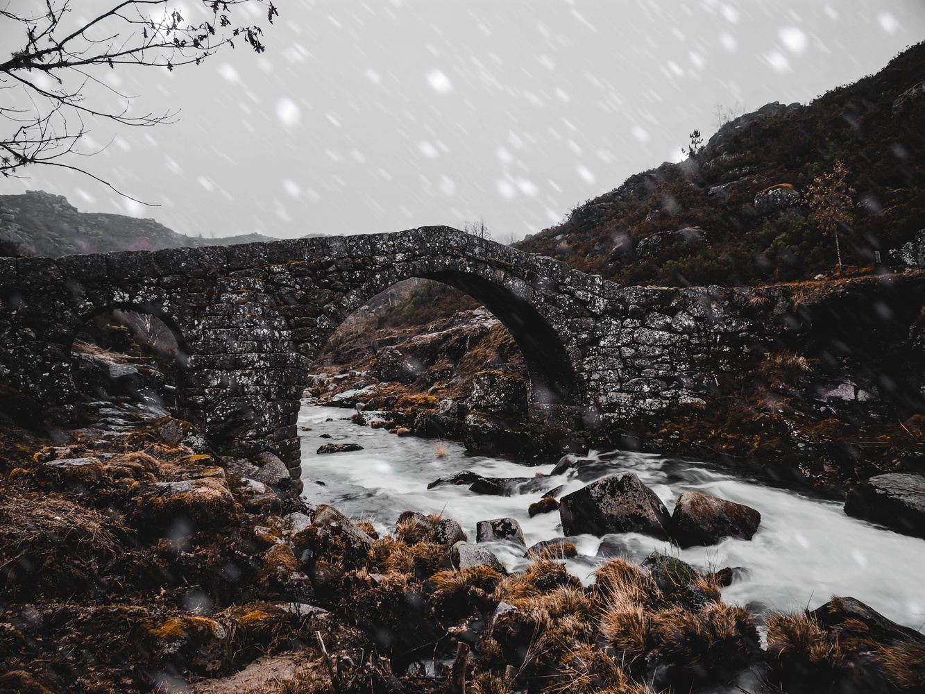 View Untitled 5 by Tiago Fernandes