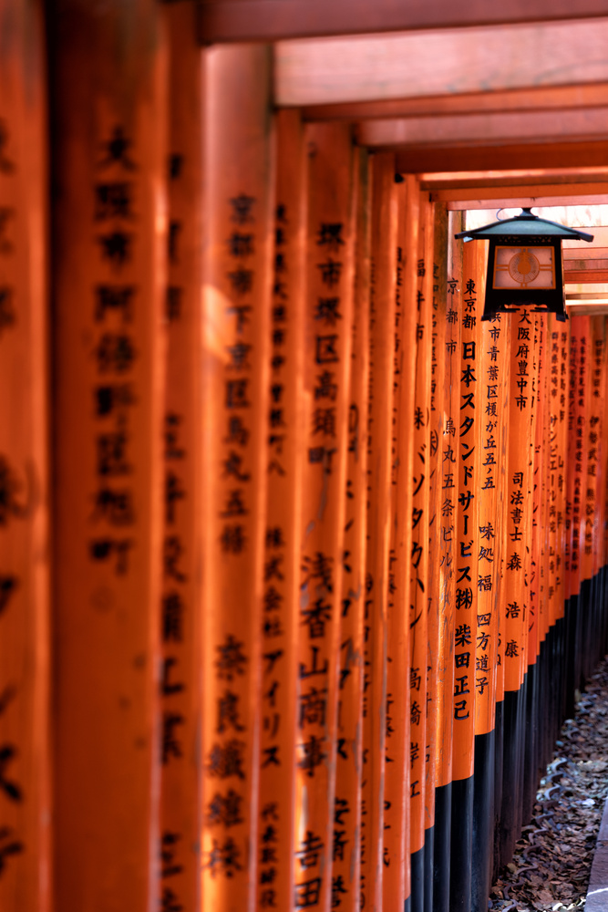 View Fushimi Inari Taisha - Kyoto by Mimmo *********