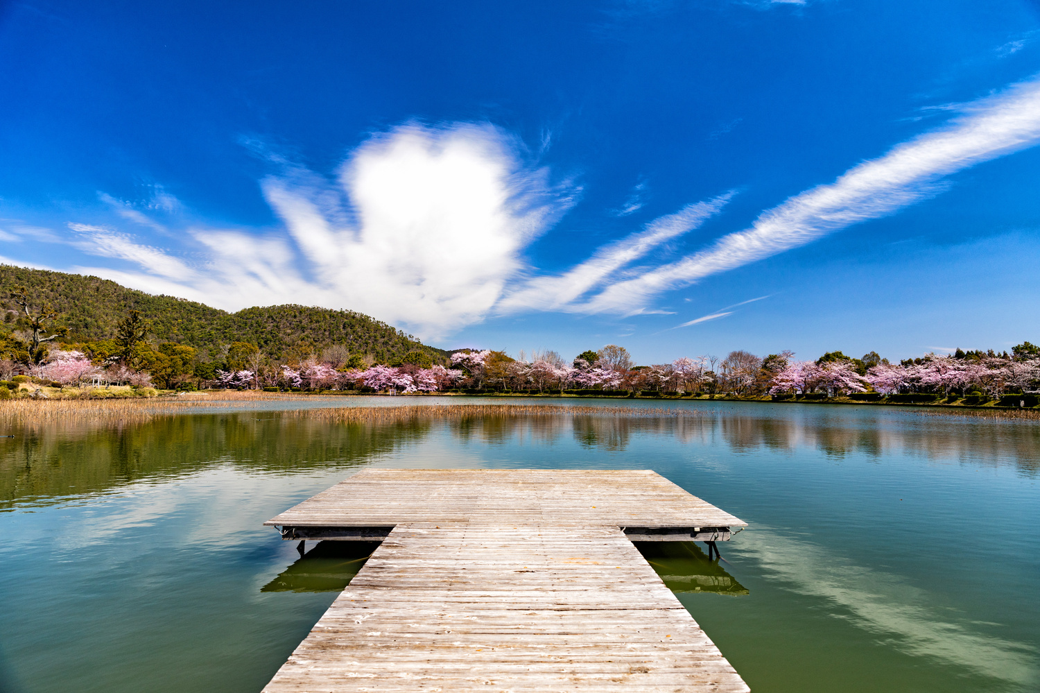 View Daikakuji Temple by Mimmo *********