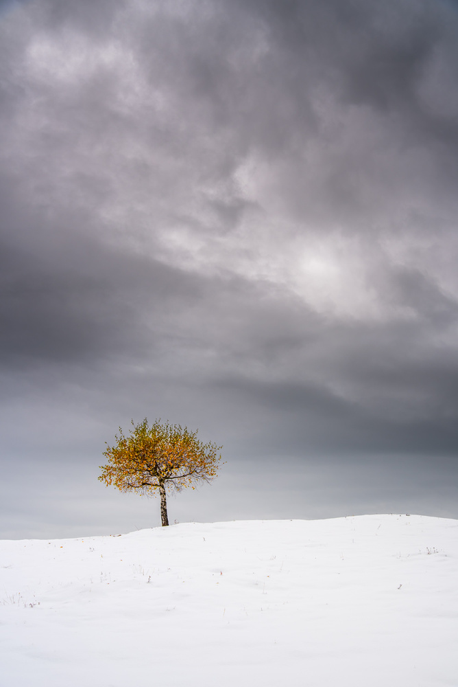View Untitled 2 by Przemysław Telążka