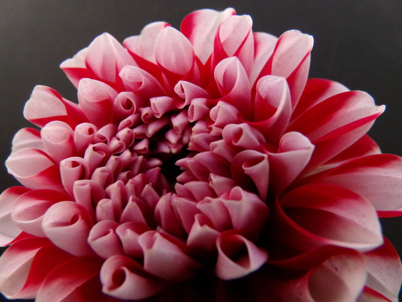 View Up-close And Personal by Rachal Montgomery