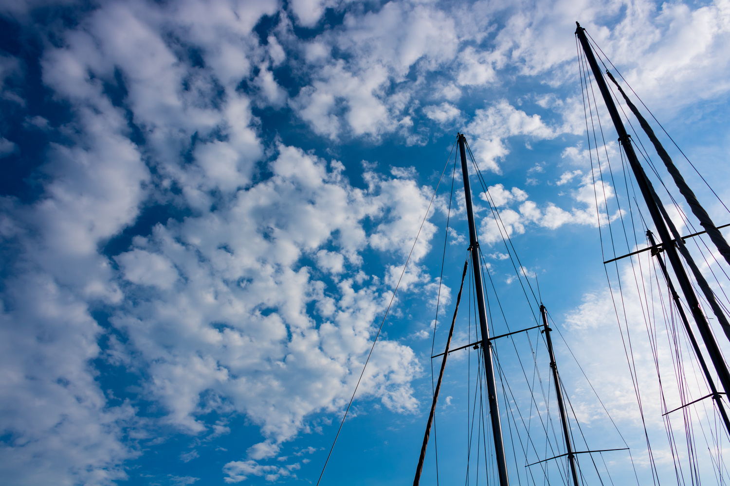 View Lonely sails by Calin Oana
