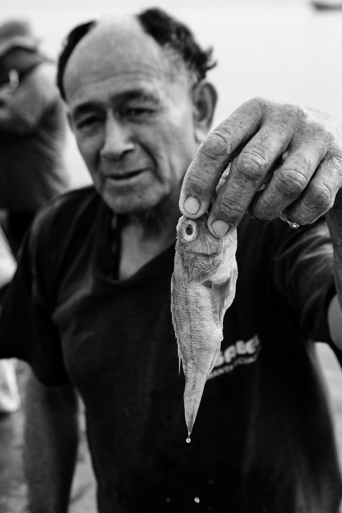 View Untitled 4 by Santiago Aguilar