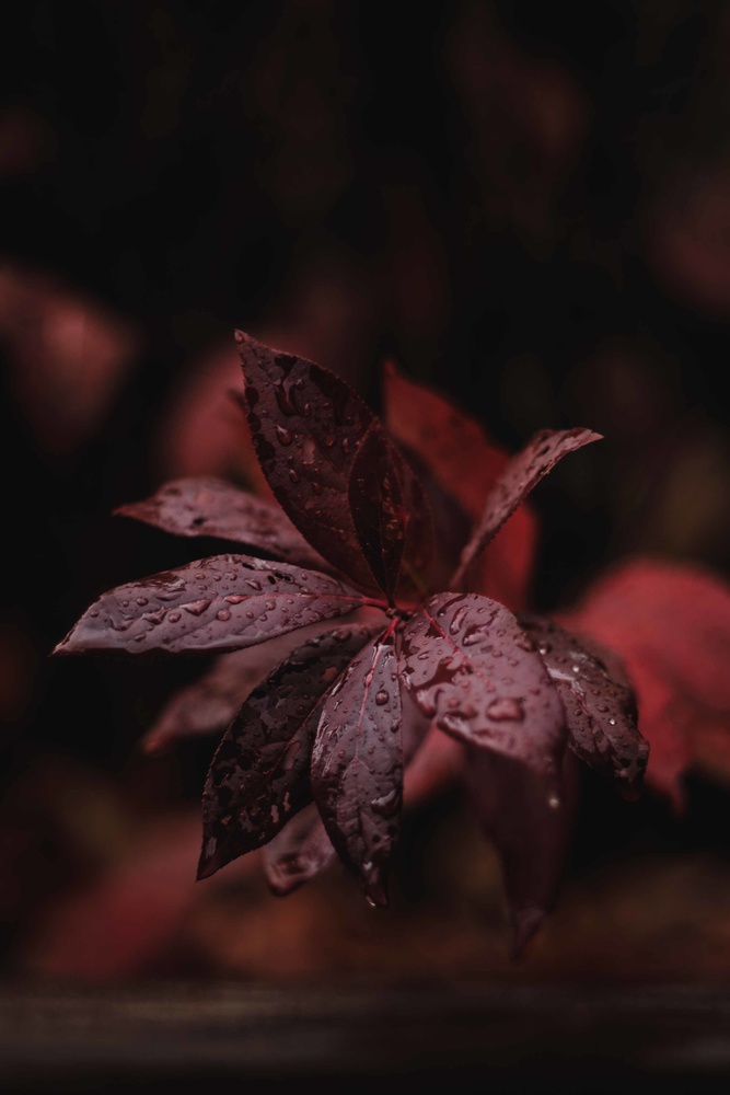View Untitled 11 by Spencer Douglas