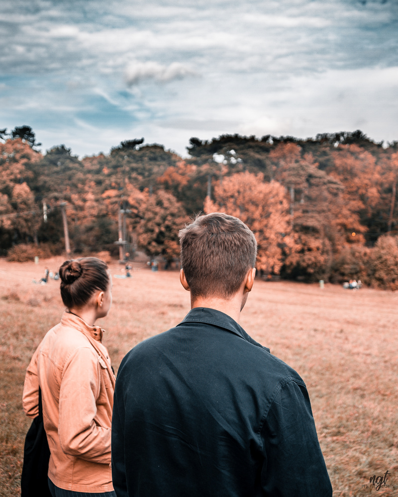 View Movie Scenes by Teodor Nicula-Golovei