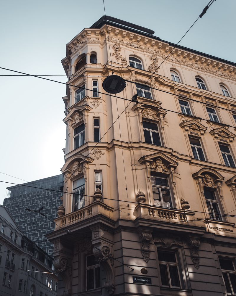 View Vienna Old and New by Teodor Nicula-Golovei