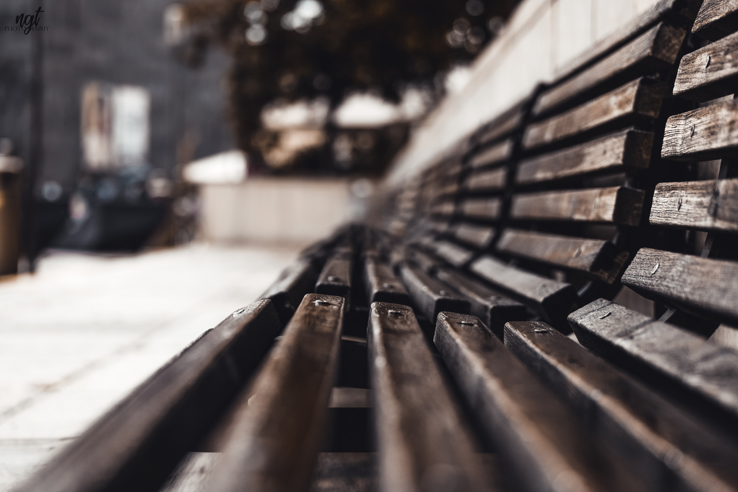 View Bench by Teodor Nicula-Golovei