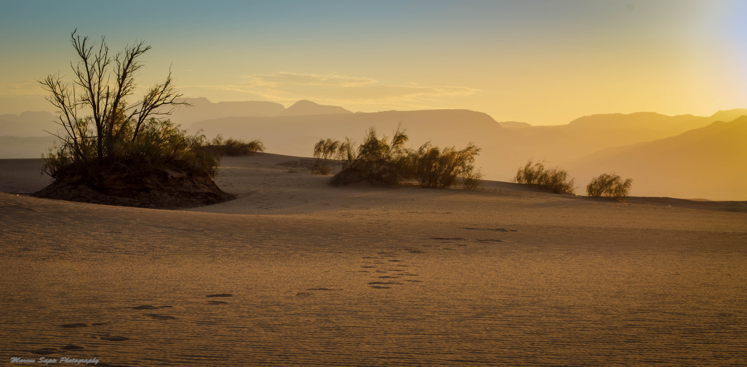View Untitled 4 by Marcus Sapir