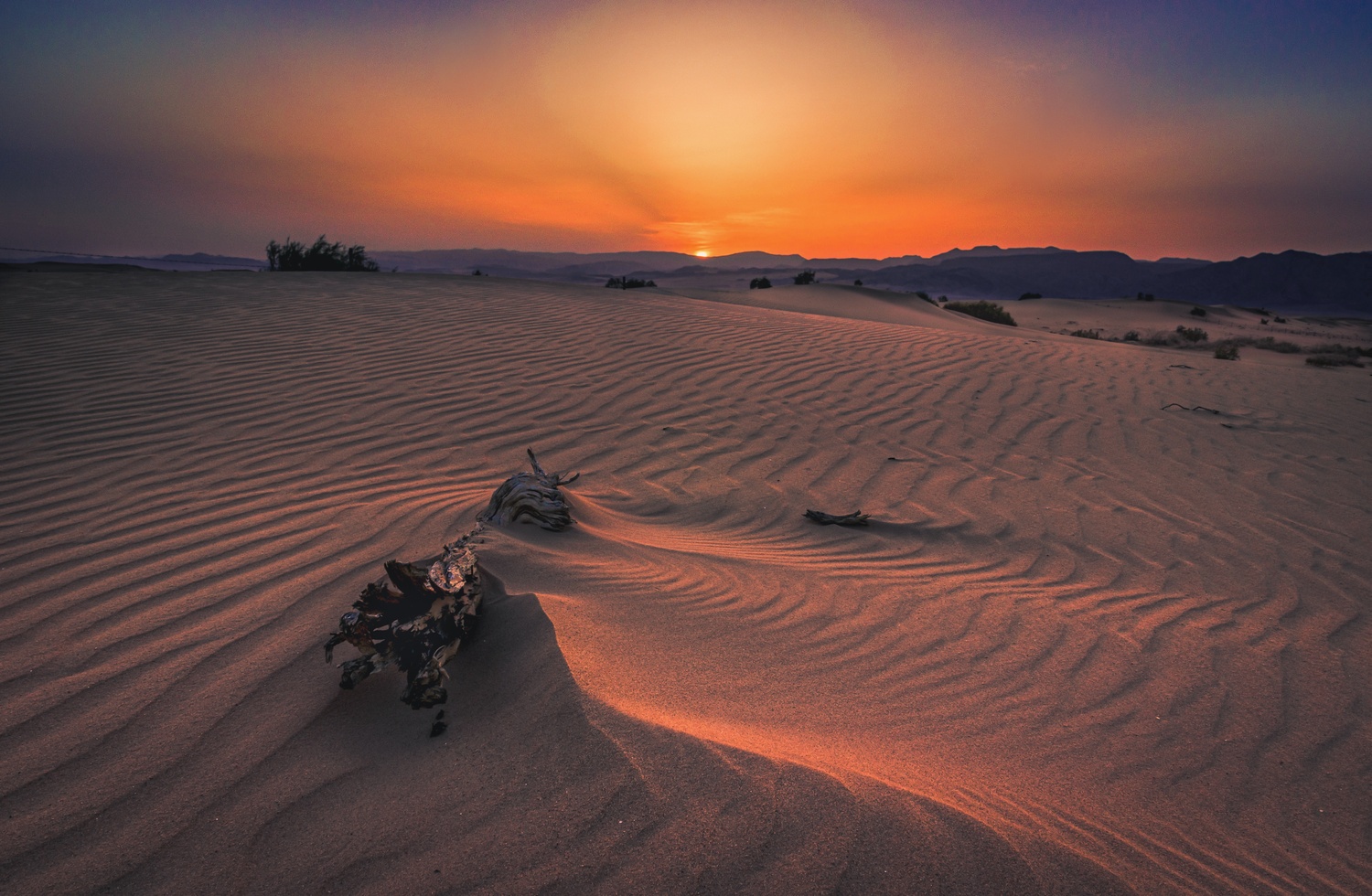 The Promise of a New Day: Why Your Brain Craves a Fresh Start