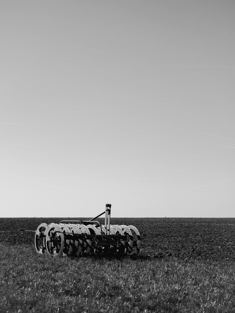 View Untitled 3 by David Blumberg