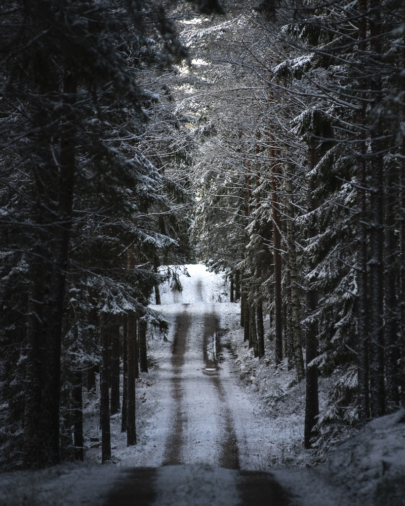 View Untitled 8 by David Blumberg