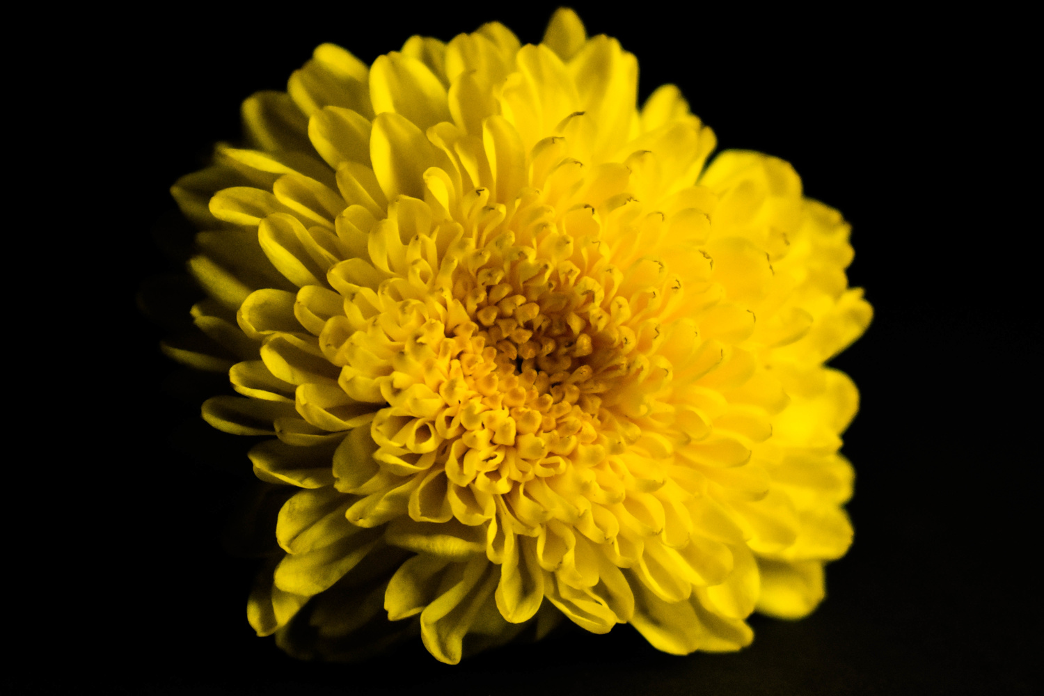 View Untitled 13 by Mohammed Habib
