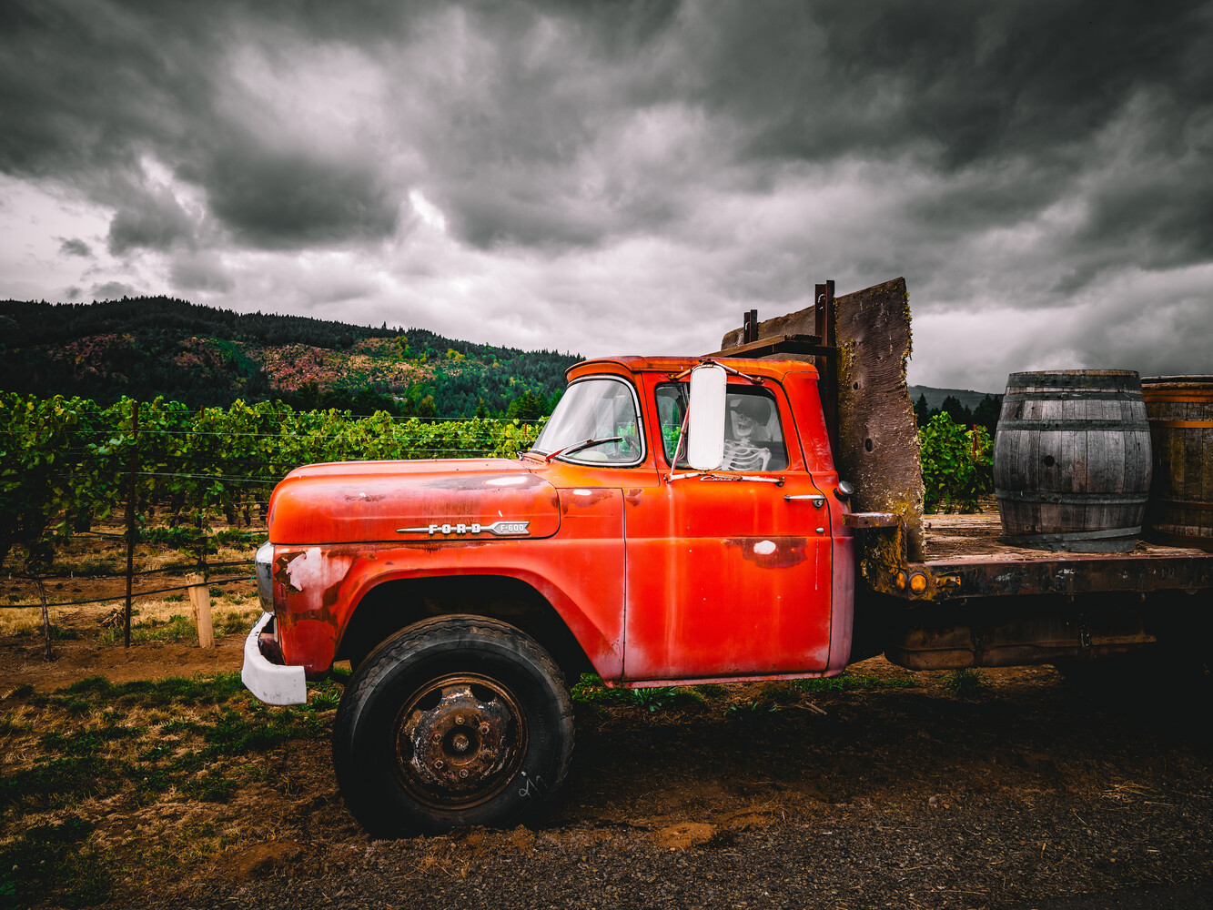 Vintage red GMC truck parked in a vineyard under stormy skies