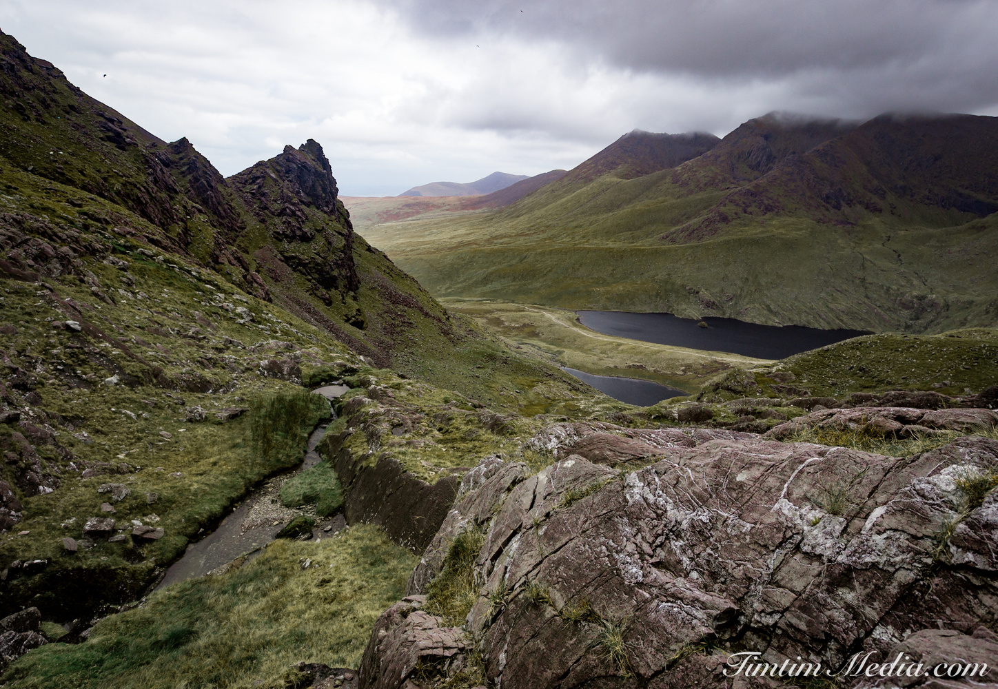 View Irelands Kingdom by Timmy Keane