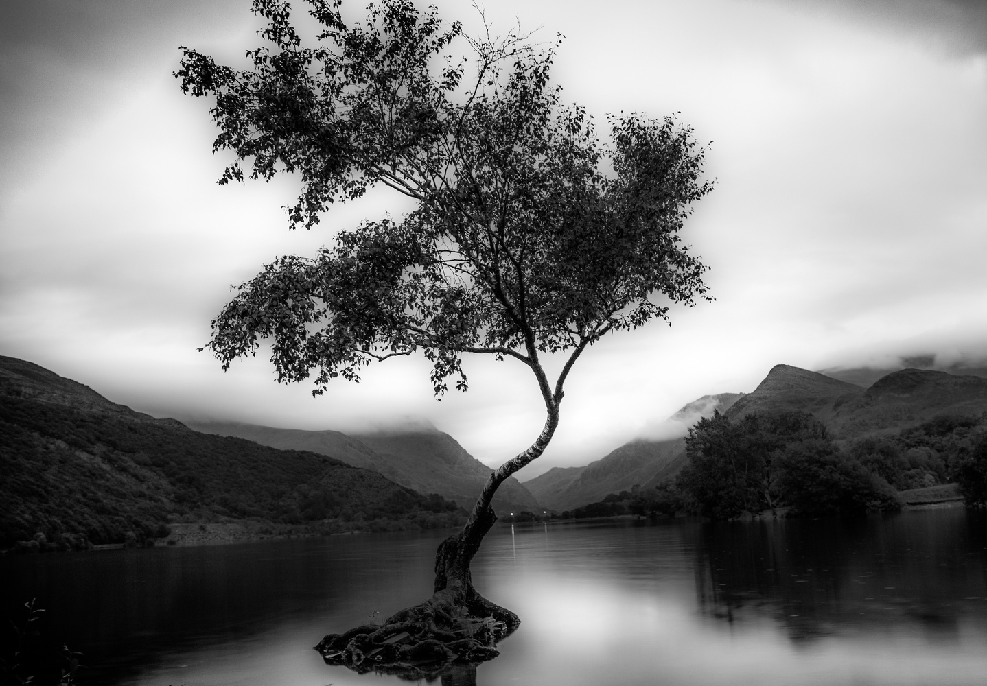 View Untitled 2 by Ellis Wood