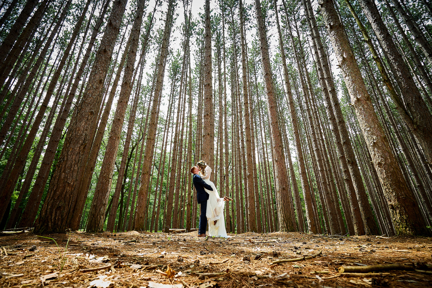 View Untitled 6 by Ryan Rupprecht