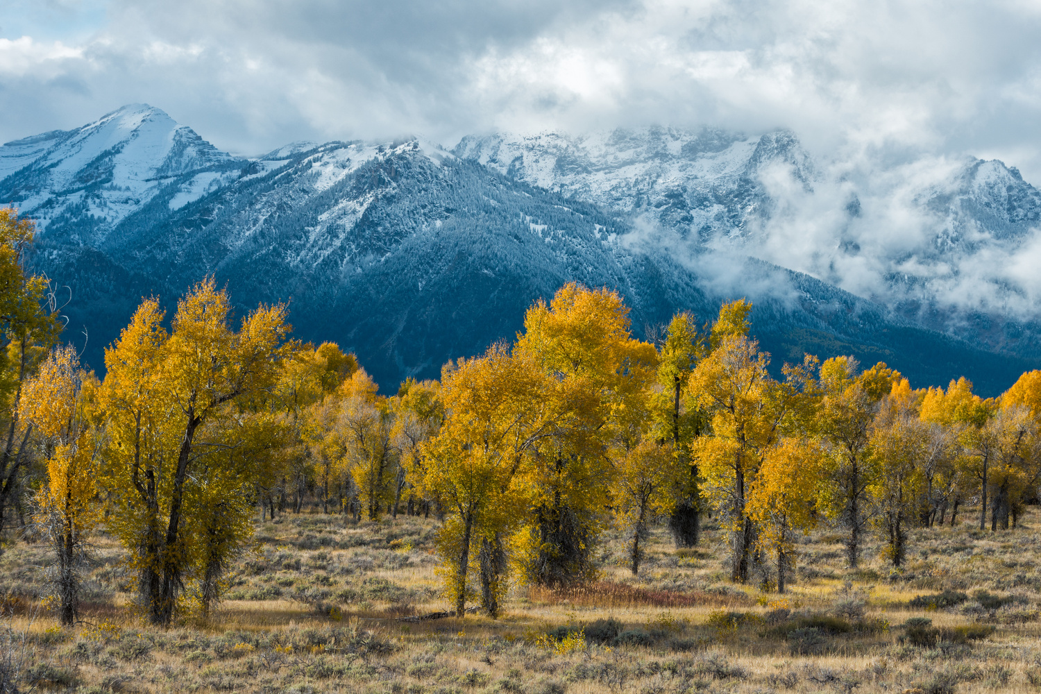 View Fall in Grand Teton by Anvit Srivastav
