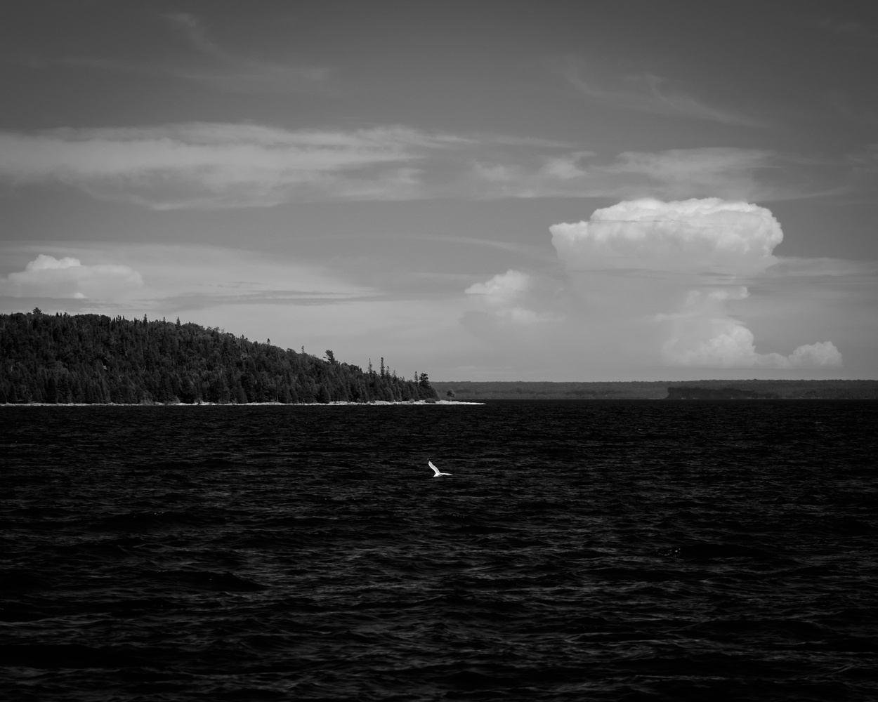 View Untitled 1 by Steve S