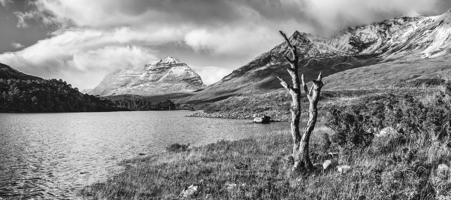 View Untitled 1 by David Russell
