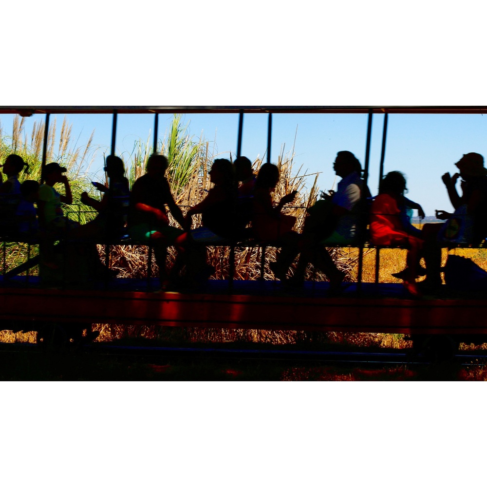 View Untitled 1 by Passos Zamith