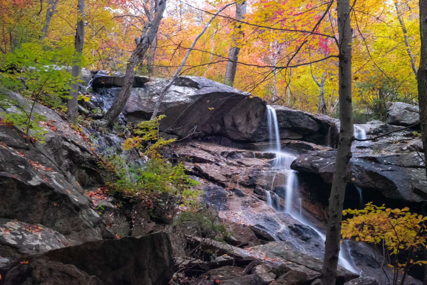 Fall foliage in Bear Mountain, NY Landscape and Nature Photography on