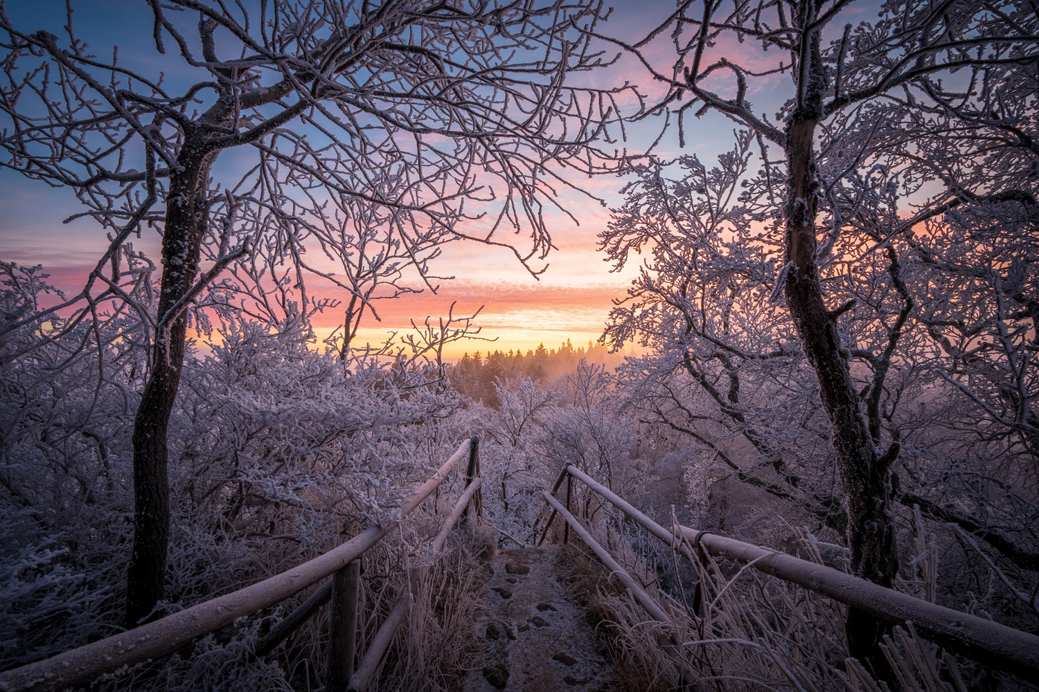 View Untitled 2 by Ozzy S