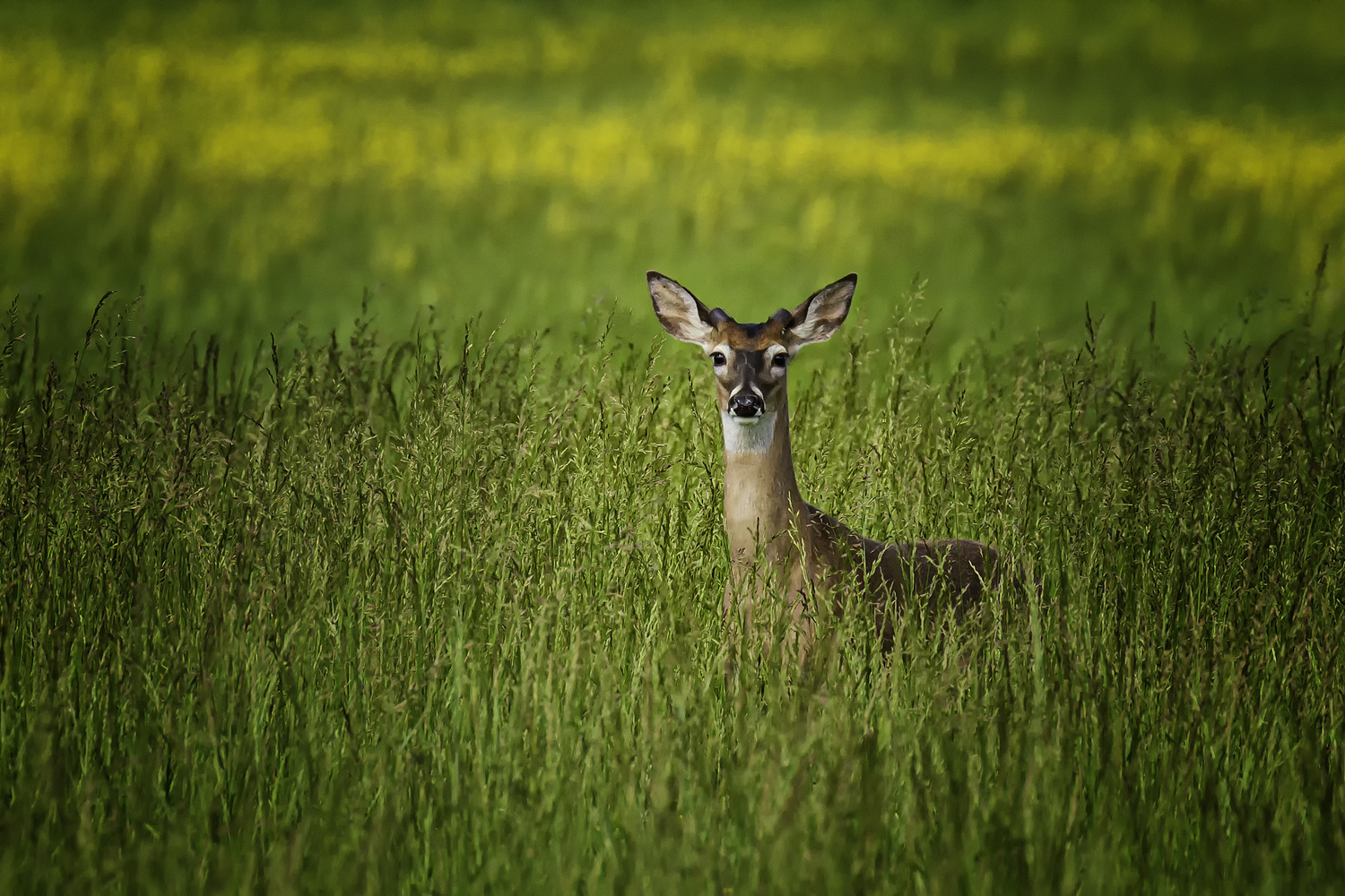 View Untitled 4 by Sam Edge