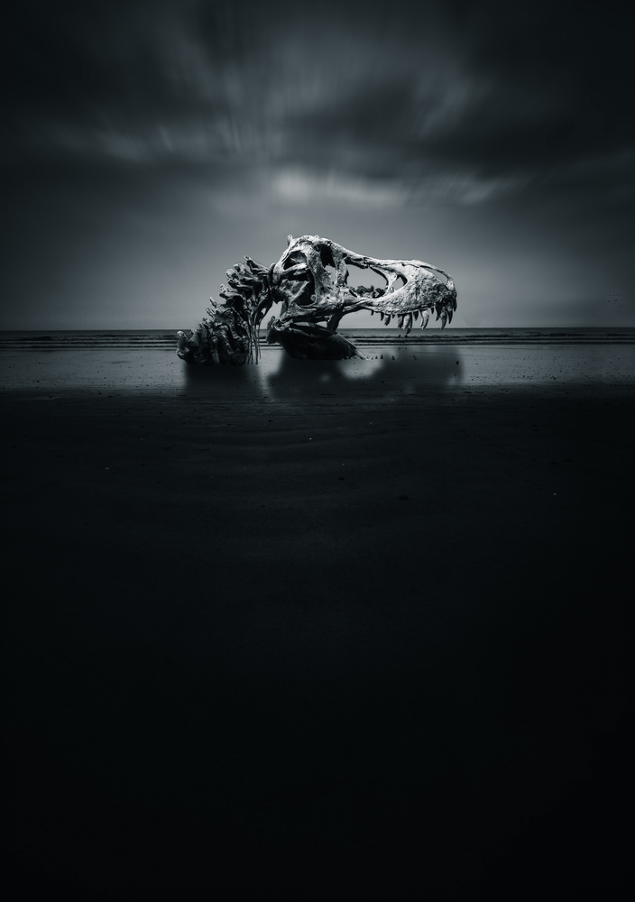 View Untitled 3 by Subhadip Pal Chowdhury