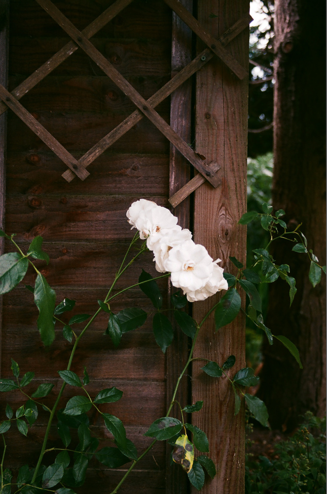 View Untitled 1 by Alex Eveleigh