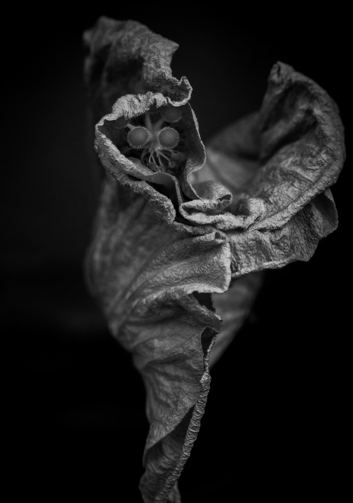 View Untitled 3 by Scott Ralston