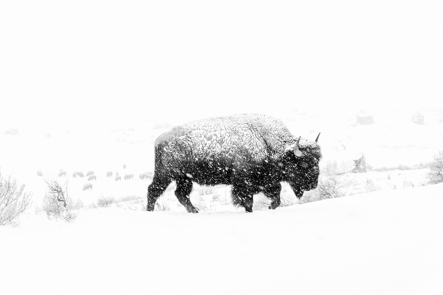 View Untitled 4 by Brian Martin