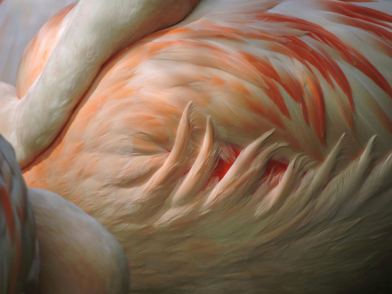 View Untitled 44 by Dylan Stone