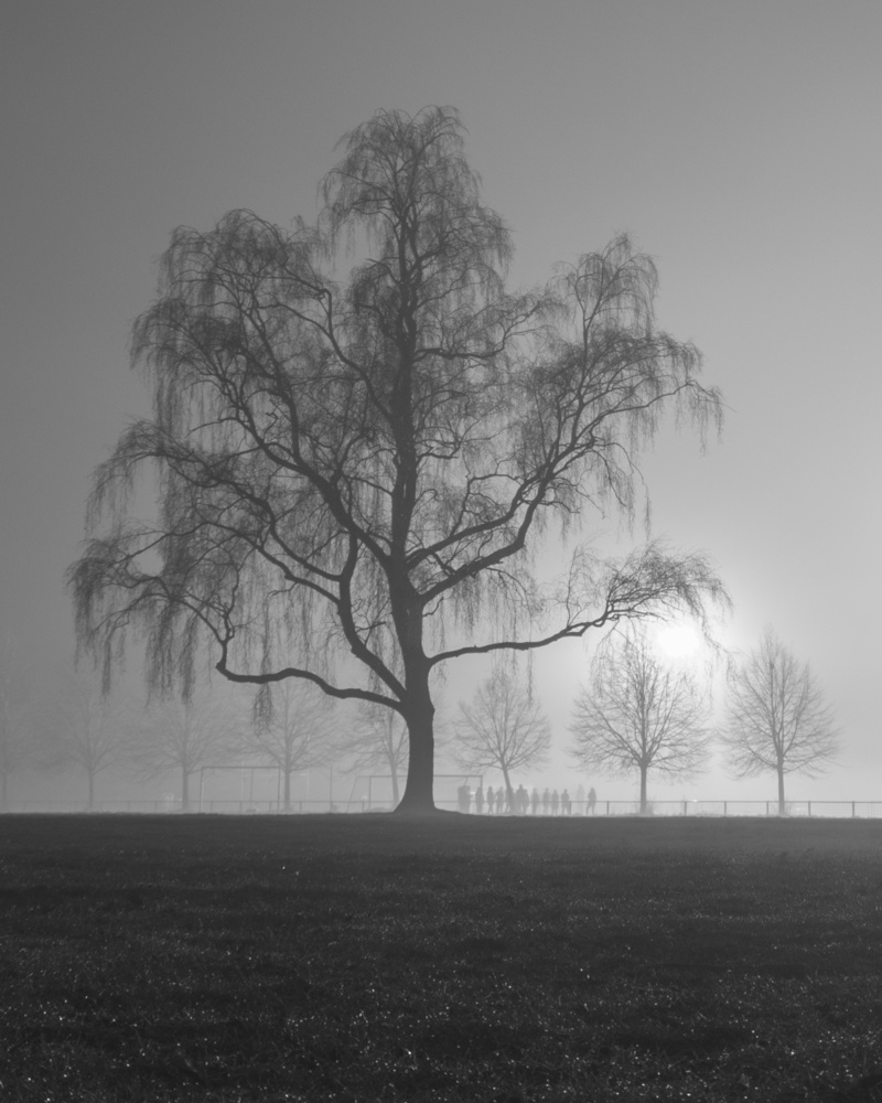 View Untitled 1 by Max Hagelstein